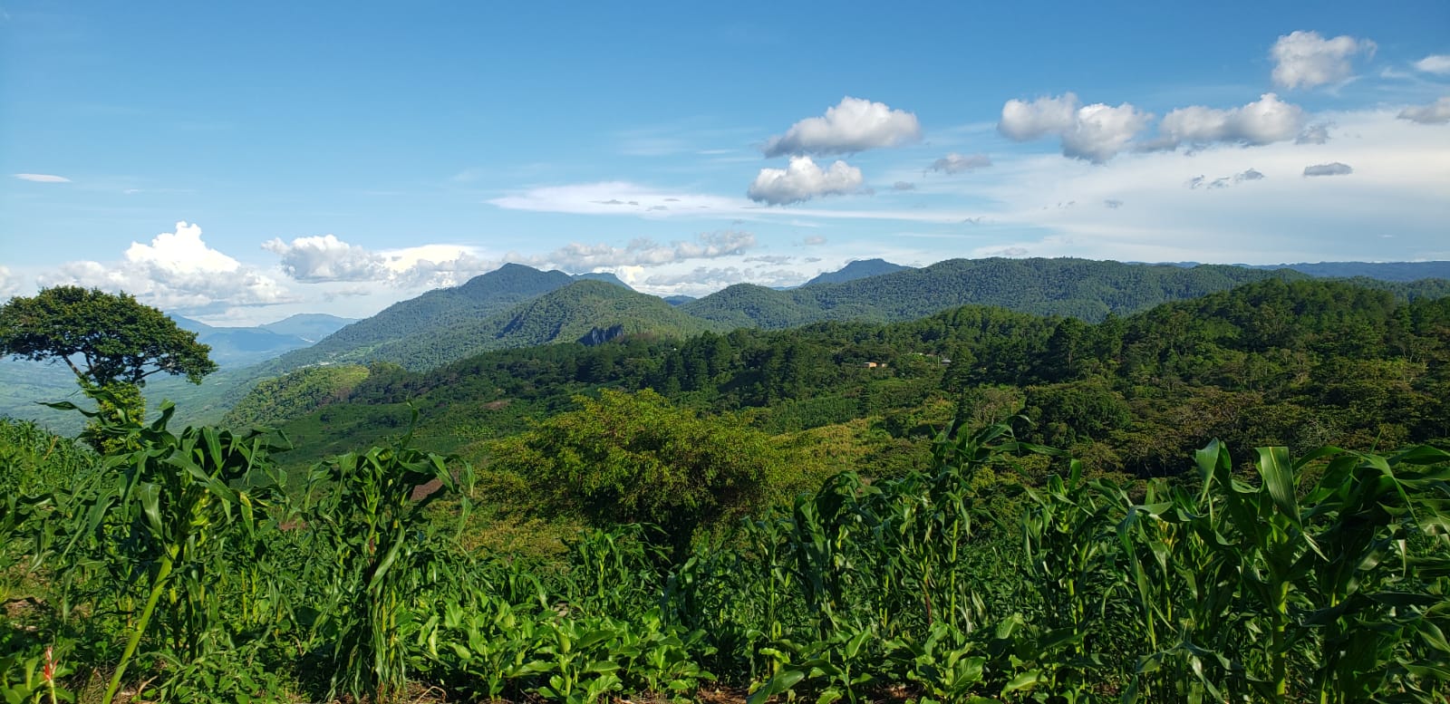 Extractos de autonomía zapatista
