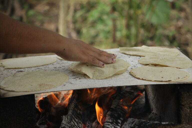 Para hacer tortillas se enseñan gestos